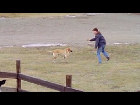 Noel Fisher/Todd McCray - A Dog Named Christmas “Fetch!”