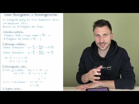 Lineare Gleichungssysteme in Anwendungssituationen - 8.Klasse