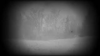 Xasthur   Screaming at Forgotten Fears