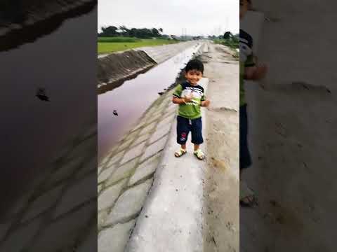 teng ge teng ge#cutebaby #shortvideo #trendingvideo #vairalvideo #youtubeshort #subscribers lpz