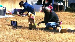 クリスマスベル演奏会2018☆