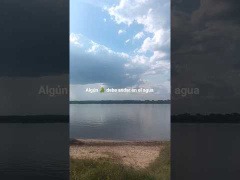 Algún Yacaré 🐊 no dudó que pase entre tus piernas en el agua  Playita Mones Quintela dpto. Artigas🇺🇾