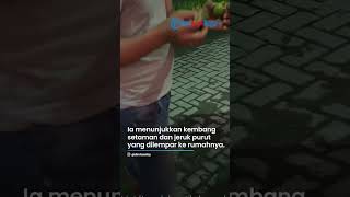 Viral! Keluarga Ken Admiral Diteror, Dilempari Jeruk Purut dan Kembang Setaman