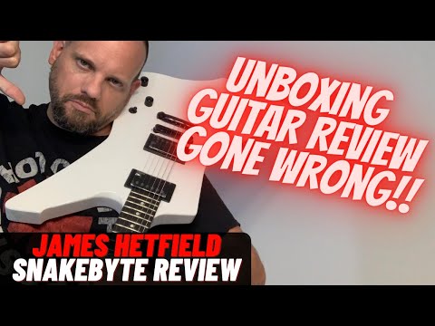 Metallica James Hetfield Signature LTD Snakebyte Guitar UNBOXING REVIEW GONE WRONG!
