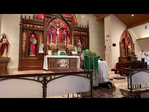 Introitus - Dominica VI Post Pentecosten (Ps 27:1, 8-9)