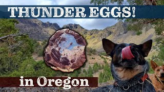 Rockhounding Thunder Eggs in Oregon: Beautiful Blue Agate, Quartz, and Rhyolite