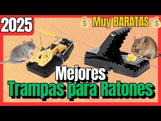 Vídeo relacionado con Panngu 4 Unidades Trampa Adhesiva para Ratas, Profesional Trampa para Ratónes, fácil de Usar ratón Adhesivas para ratoncillos y Rata (31cm x 21cm)