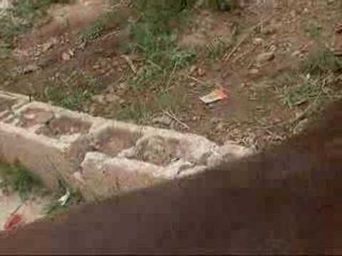 Daniel Bedingfield - All the little Children