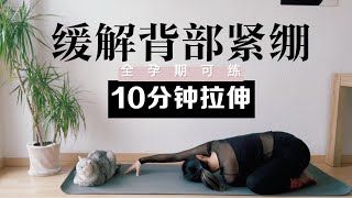 【10分鐘背部壓力緩解拉伸】你的背部舒服了，身体轻松了