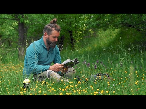 Drumetie prin paduri si poieni (intr-o zi frumoasa de mai)