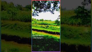 Download lagu STORY WA 'ORA ISO MULIH' ( Didi Kempot ) https://youtu.be/Xm_smtgcPws mp3