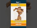 silly (adjective) - definition and usage in English