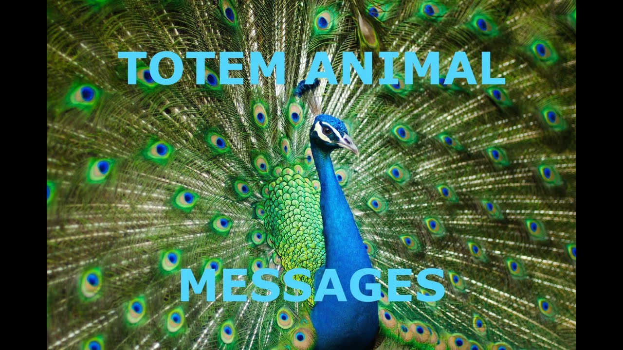 Totem Animal Messages