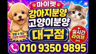 유튜브 썸네일