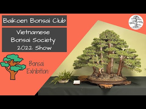 Vietnamese Bonsai Society 2022 Show - Baikoen Bonsai Club - Safer @ Home Bonsai Series