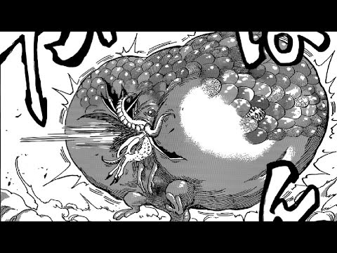 TORIKO CHAPTER 372 LIVE REACTION