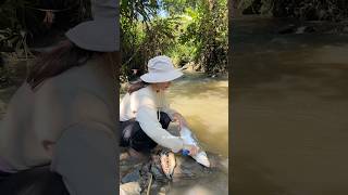 Download lagu grilled fish and wild vegetables by the river mp3