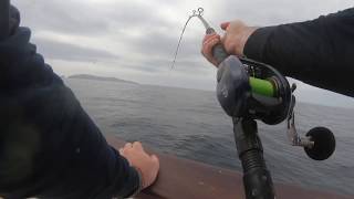 Держатель крючка daiwa lure hook holder