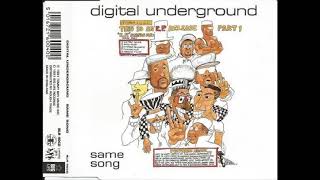 Digital Underground - The Way We Swing (Remix)