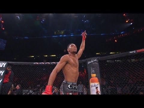 How To Watch Bellator 205 & Betting Odds