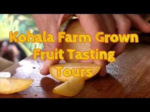 download lagu mp3 mp4 What Fruits Are In Season In Hawaii, download lagu What Fruits Are In Season In Hawaii gratis, unduh video klip What Fruits Are In Season In Hawaii