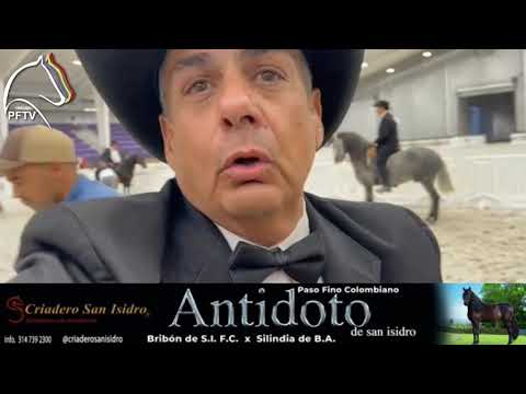 Jorge Suárez, Campeón 110 Performance Geldings Championship en Extravaganza