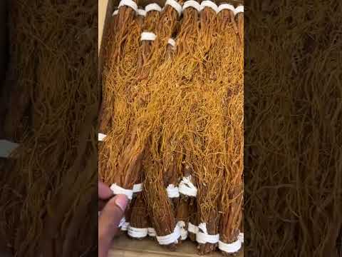 Korean Red Ginseng Root