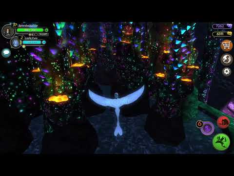 School of dragons - Fly through Hidden World with Light Fury