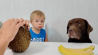 Hilarious Reaction! I Open Durian in Front of My Boy and Dog!