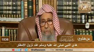 1836 - هدي النبي صلى الله عليه وسلم عند نزول الأمطار