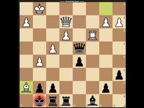 Learn Daily Chess Puzzles