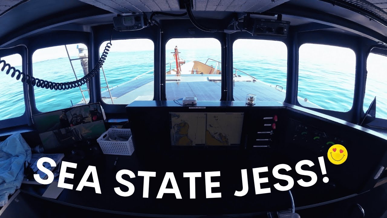 SEA STATE JESS! - Project Brupeg Ep.405