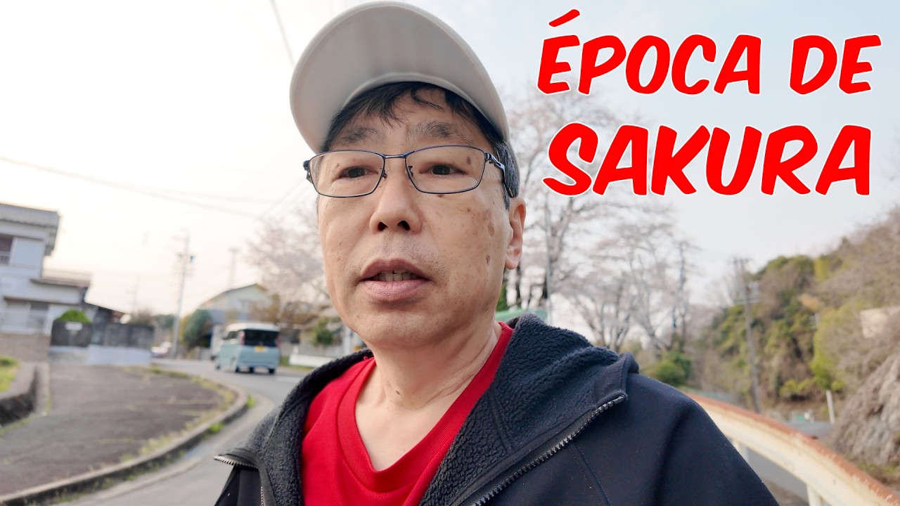SAKURA É VIDA - Bate papo - 28032026