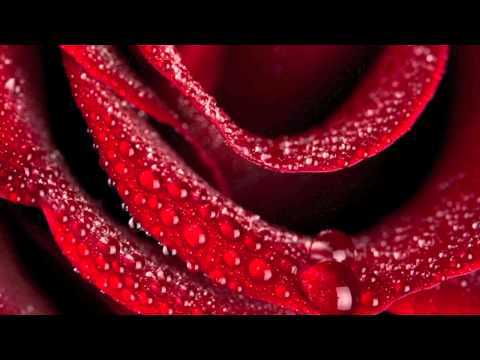 Uldis Stabulnieks. Tu gribēji, lai dāvāju tev rozes.