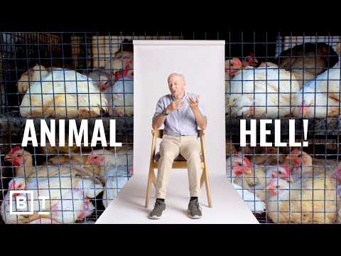 Peter Singer: Animal suffering is human responsibility | Full Interview
