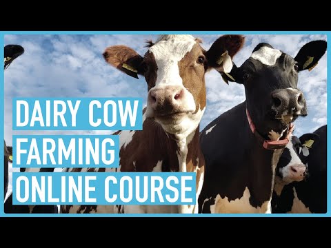 Profitable Pig Farming and Best Practices for success Course Outline