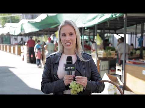 Ceger ep.37 - Pijaca Braće Jerković  - 04.10.2019.