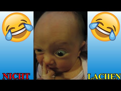 VERSUCHE NICHT ZU LACHEN !!! 🤣🤣🤣 #68