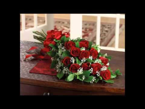 Meu Jardim video