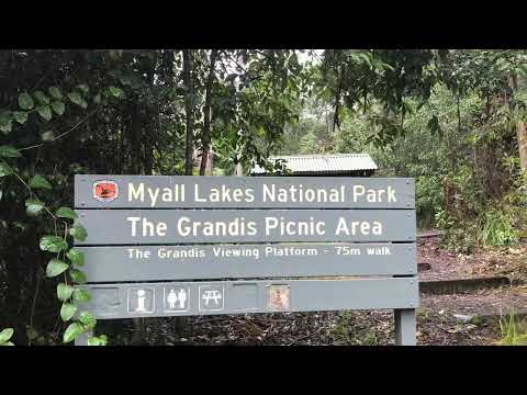 The Grandis — Myall Lakes National Park