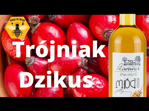 Kings of Mead odc. 157 - Degustacja trójniaka "Dzikus"
