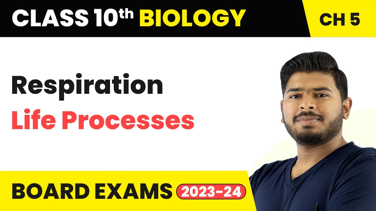 Respiration - Life Process | Class 10 Science Chapter 5