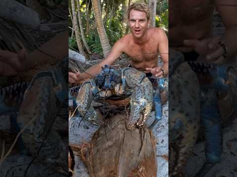 GIANT CRABS rule this Island