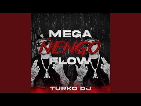 MEGA ÑENGO FLOW II