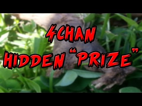 4Chan Hidden Location Analysis