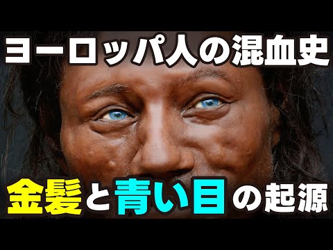 クロマニヨン人 - 定義