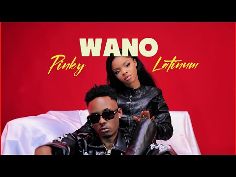 Wano - Pinky X Latinum (Visualizer)