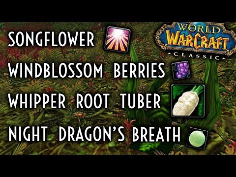 WoW Classic Guide - Whipper Root Tubers/Songflowers/WIndblossom Berries/Night Dragon's Breath