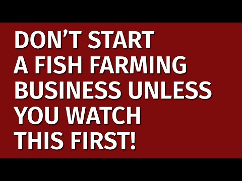 , title : 'How to Start a Fish Farming Business in 2022 | Free Fish Farming Business Plan Included'