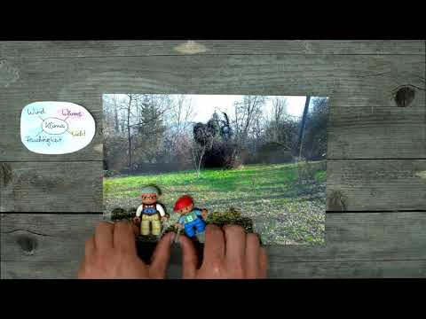 Jonas Gampe erklärt PK in 1 Min